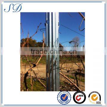 Galvanized Vineyard Post Grape Stake