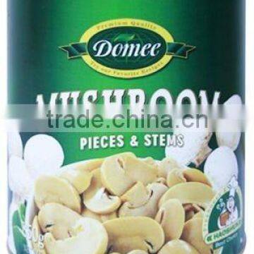 Mushroom Manufacturing Champignon Mushrooms In Tins Oyster Mushrooms