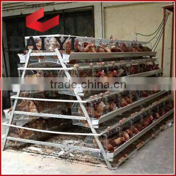 Poultry Battery Cage for Nigerian Farm