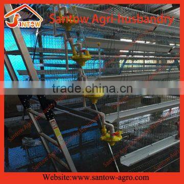 automatic poultry laying chicken egg broiler farming equipment