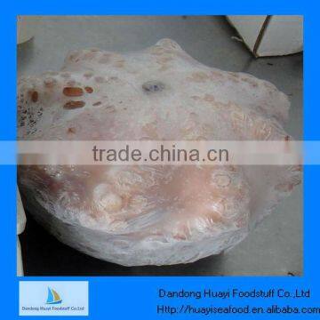 Hot sale wholesale frozen octopus for sale