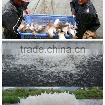 China hot sale and high efficient shrimp prawn pond aerator,aerator for ponds