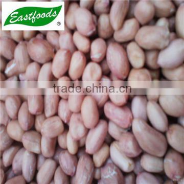 Chinese long type Peanut Kernels