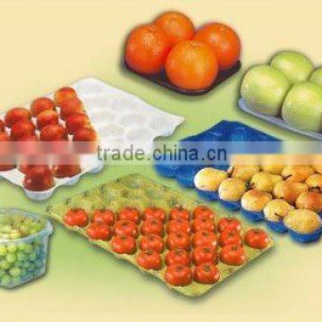 Custom-made Supermarket Fruit Tray