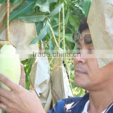 mango bag fruit protection bag