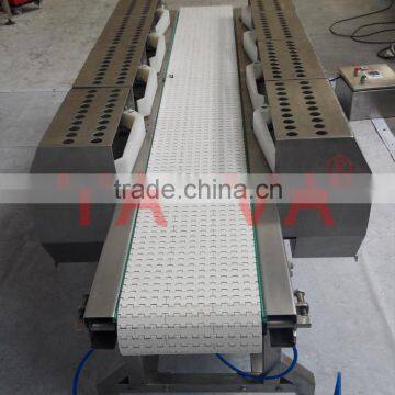 PP Belt Conveyor With Food Grade photo-2