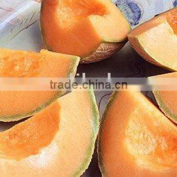 2011 new fresh cantaloup with top quality and competitive price