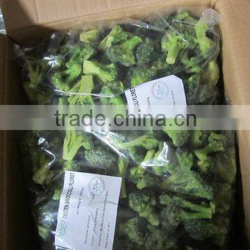 Hot sell frozen fresh broccoli cut