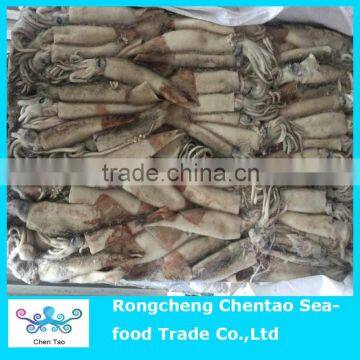 Good quality 50/80g frozen todarodes pacificus squid