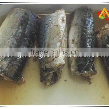 2016 New Products Chinese Canned Mackerel Fish in Brine