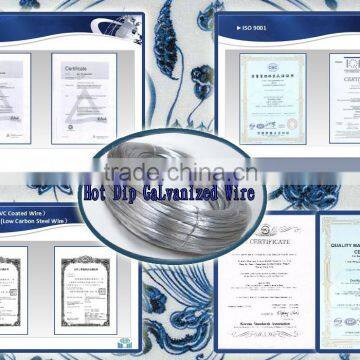 Galvanized Steel Wire photo-5