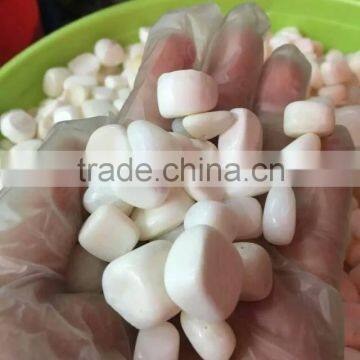 natural tridacninae crushed stone for wholesale,Tridacnidae jewelry,gemstone