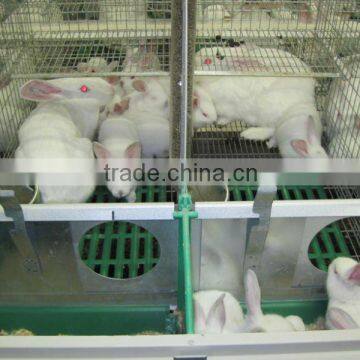 Automatic rabbit farming equipment