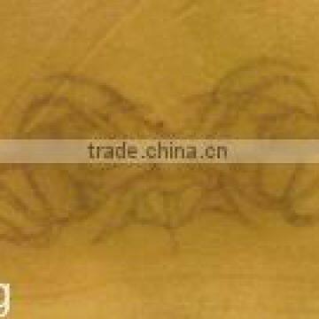 Tattoo Removal Laser Nd Yag Laser photo-6