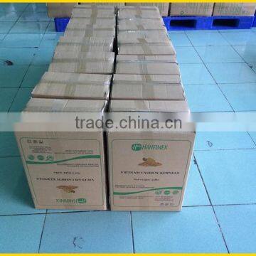 Whatsaap/Viber: +84965152844 CASHEW NUTS WS /Raw Cashew Kernel Price photo-2