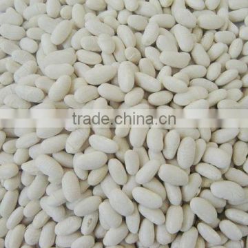 Price of white kidney bean 2014 crop white bean