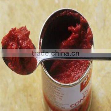 China Wholesale Canned Tomato Paste
