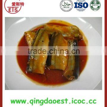 supply 425g good canned mackerel in tomato sauce from shandong