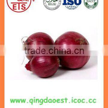 Export bulk chinese Best quality fresh red onion