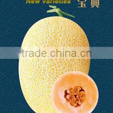 High quality Hybrid Hami Melon Seeds Cantaloupe melon seed muskmelon seeds for planting-Bao Dian