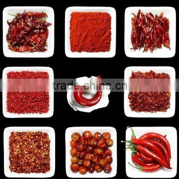 HOT SPICY RED CHILI EXPORTER photo-5