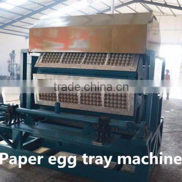 Paper Egg Tray Making Machine Factory Price photo-3