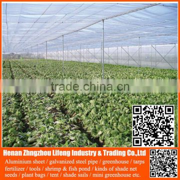 hdpe vegetable insect net , plastic agricultural greenhouse anti insect proof net , nylon fruit anti insect net