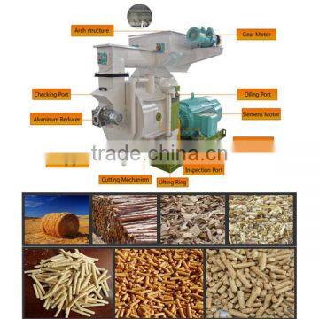 Hot selling ring die pellet feed mill | mini pellet mill