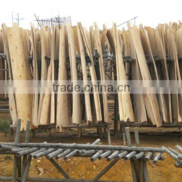 Eucalyptus Core Veneer from Vietnam