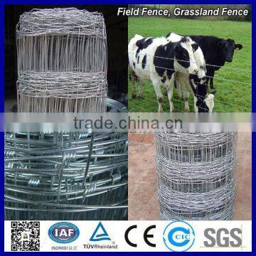 Hot sale Anping goat farming sheep wire fencing