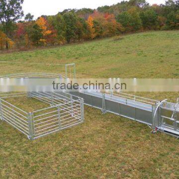 Cattle fence(DONGFU factory )