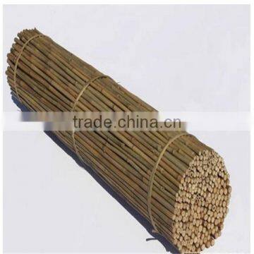 Natural factory moso bamboo poles sale