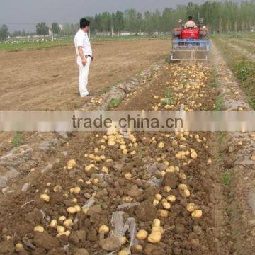 Best Selling Potato/onion Harvester/ Potato Harvester Price photo-5