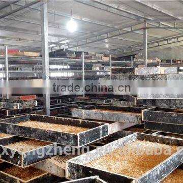 Natural Balance Pet Food Supplies Mealworms photo-3