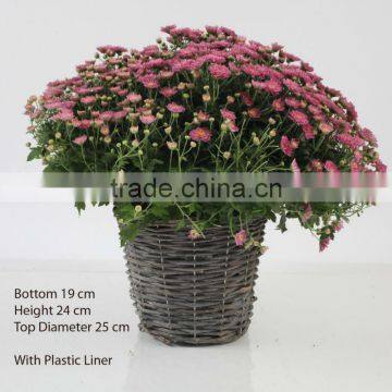 natural garden basket for flower