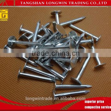 Universal Model Galvanized Treatment Agricultural Tools&Garden Tools Roofing Nails&Clout Nails