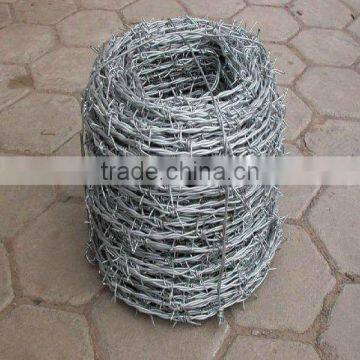 Galvanized barbed wire