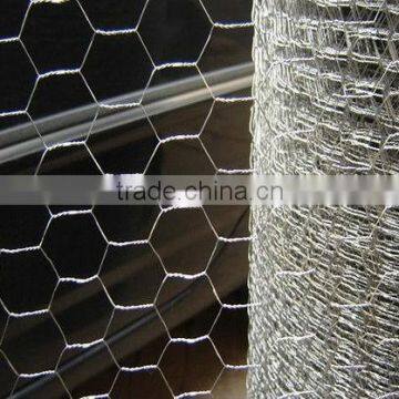 Chicken wire mesh (Dingzhou factory)