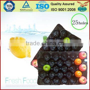 China Supply Factory Price PP ProtectiveTray for Apple Packing photo-3