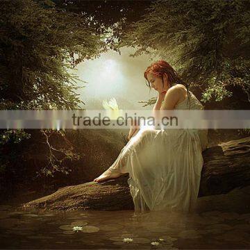 Fashion diy art.diamond painting,2014 new pictures.10162-01