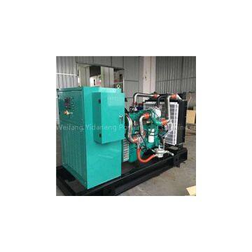 Cummins Natural Gas Generator