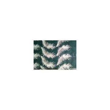 White feather organza pattern embroidered Cotton Lace Fabric For apparel