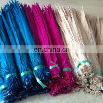 White Color Ringneck Pheasant Feathers photo-5