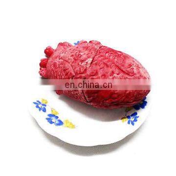 fake brain haunted house blood horror props trick halloween fake human heart