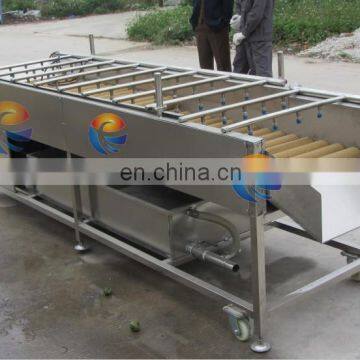 HP-360 Spray Washer Type Watermelon Peach Lemon Roller Cleaning Machine photo-3