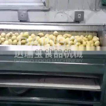 Vegetable Roller Brush Washing Peeling Machine for Potato/Pumpkin/Cassava/Palm/Carrot/Onion