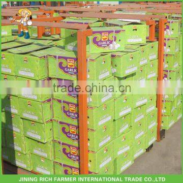 Wholesale Fresh Garlic (5.5CM Up 10Kg Carton Packing)