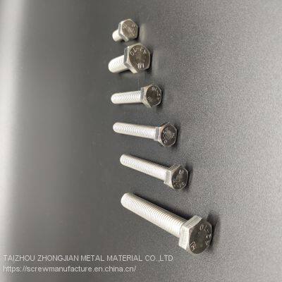 Stainless Steel Hex Bolt M10*150