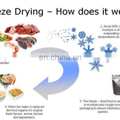 Wholesale Freeze Dried Fruit Vacuum Dryer Freeze Drying Lyophilizer Price Industrial Freeze Dryer Food photo-3