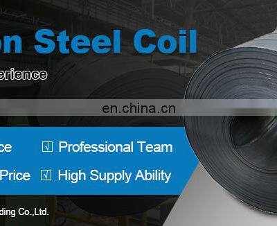 China Carbon Steel Coil Hot Rolled Steel Coil 2.2-12m Steel Coil